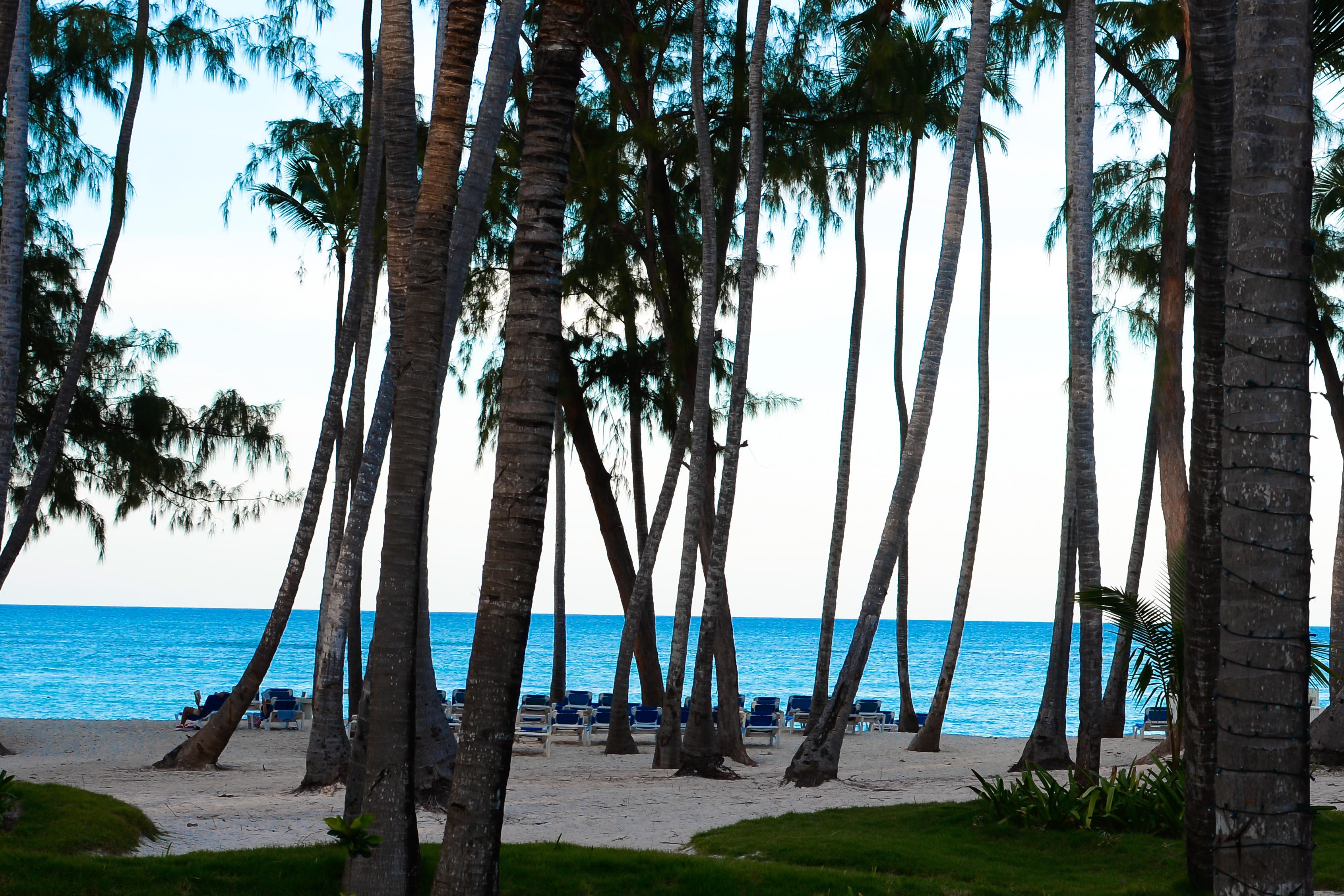 Vista Sol Punta Cana Buitenkant foto